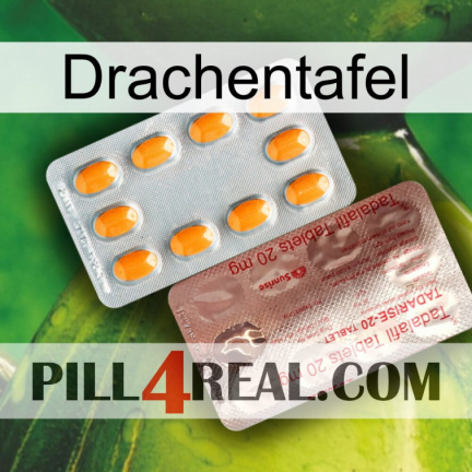 Dragon Tablet new13
